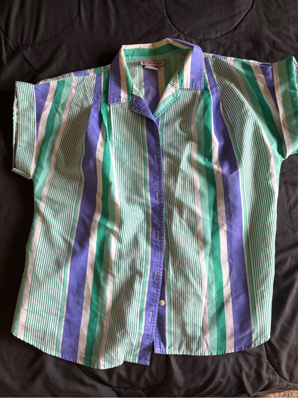 Casual Striped Button-Down Shirt in Green & Blue